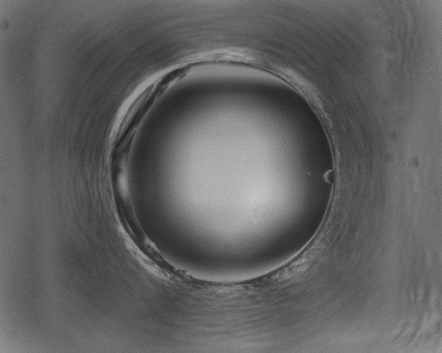 X0000078290816200611031230