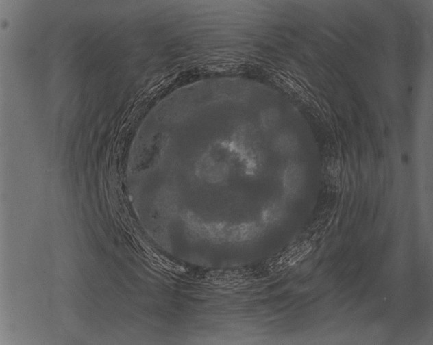 X0000078290817200611031229