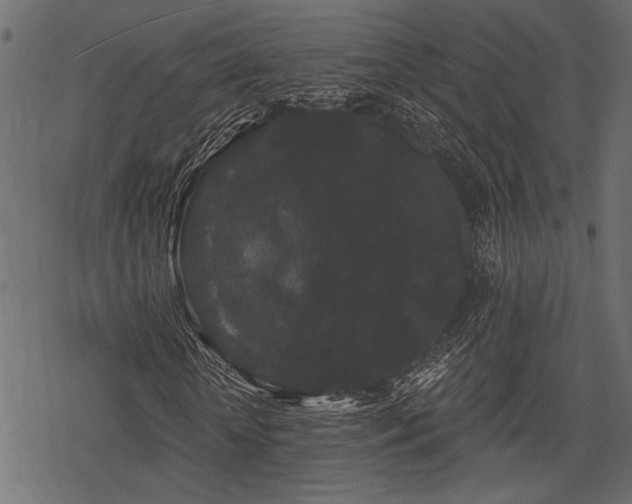 X0000078290818200611031229