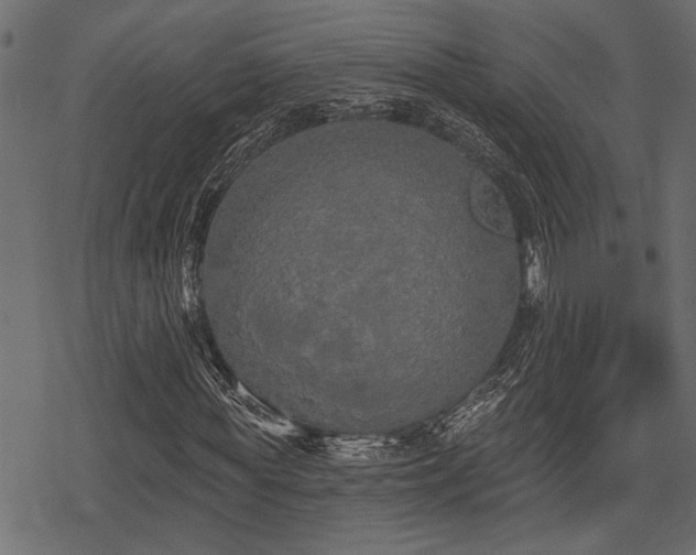 X0000078290819200611031229