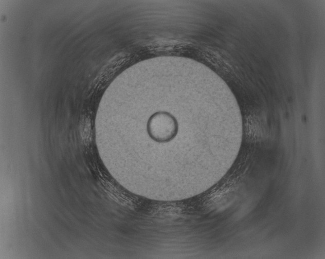 X0000078290820200611031229