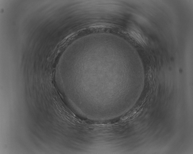 X0000078290821200611031229