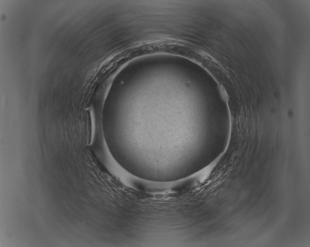 X0000078290822200611031229