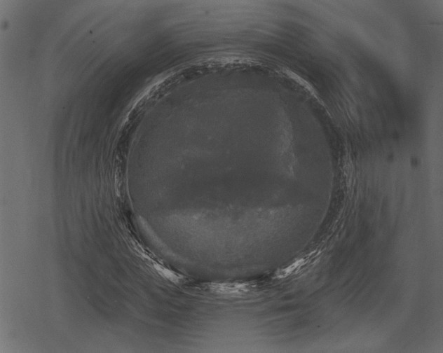 X0000078290823200611031229