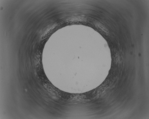 X0000078290824200611031229