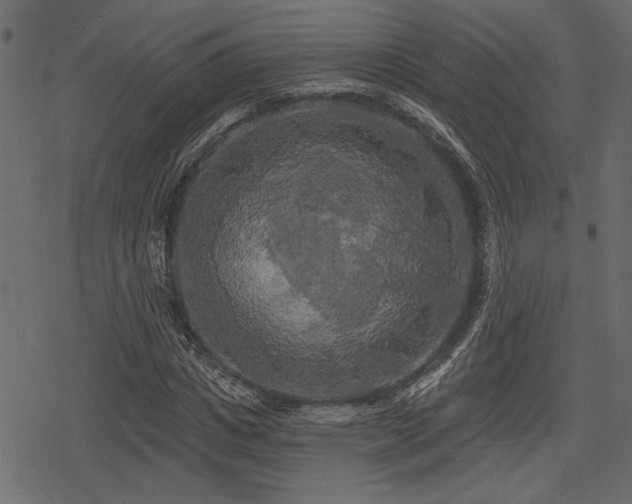 X0000078290825200611031229