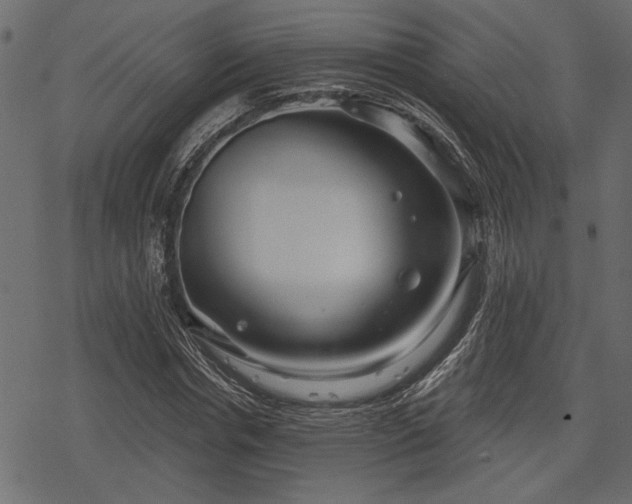 X0000078290826200611031229