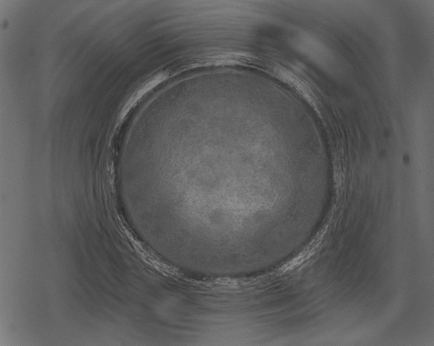 X0000078290827200611031229