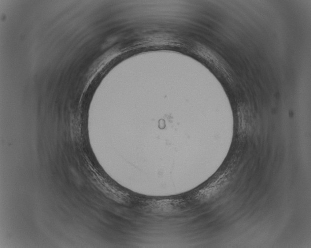 X0000078290828200611031229