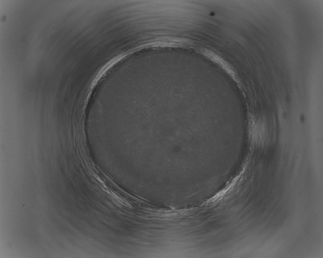 X0000078290829200611031229