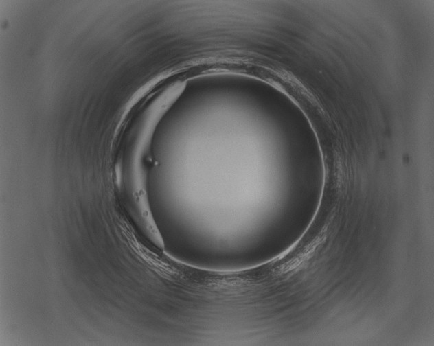 X0000078290830200611031229