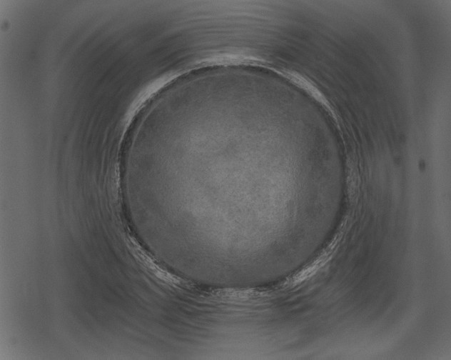 X0000078290831200611031229