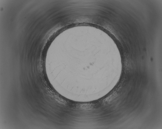 X0000078290832200611031229