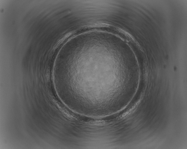 X0000078290833200611031229