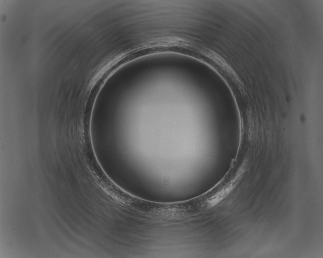 X0000078290834200611031229