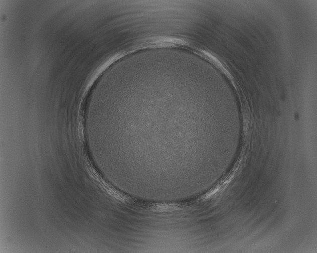 X0000078290835200611031229