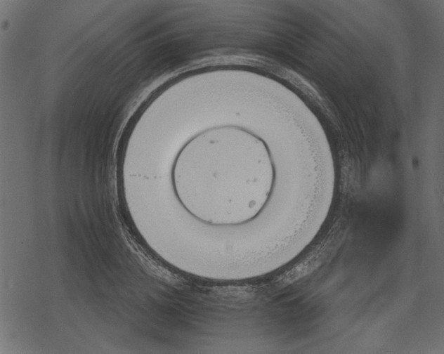 X0000078290836200611031229