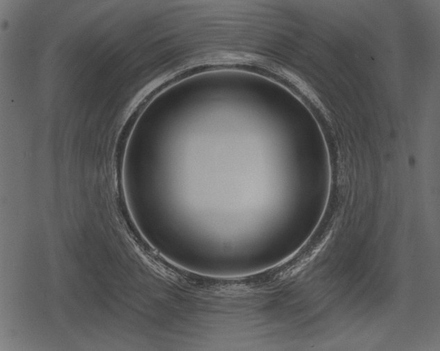 X0000078290837200611031229