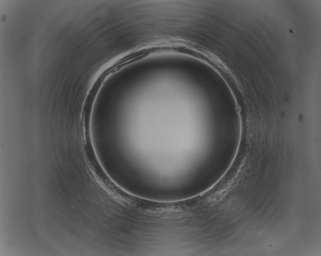 X0000078290838200611031229