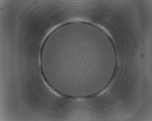 X0000078290839200611031229