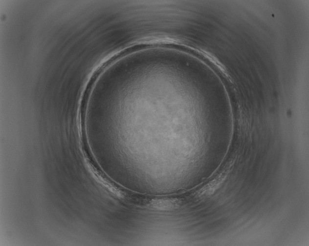 X0000078290840200611031229