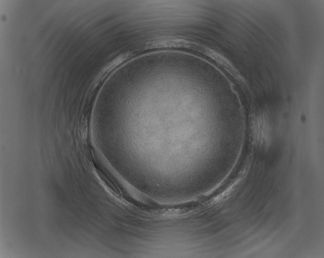 X0000078290841200611031229