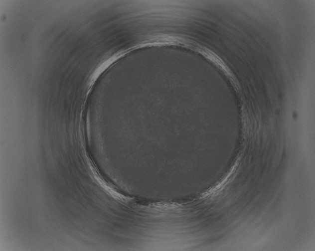 X0000078290842200611031229