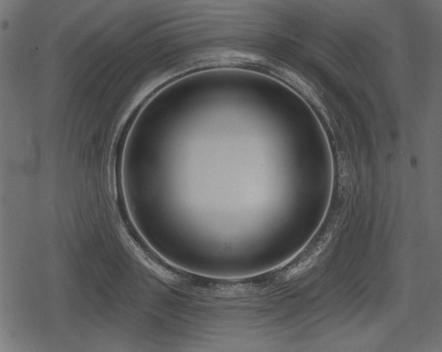 X0000078290843200611031229