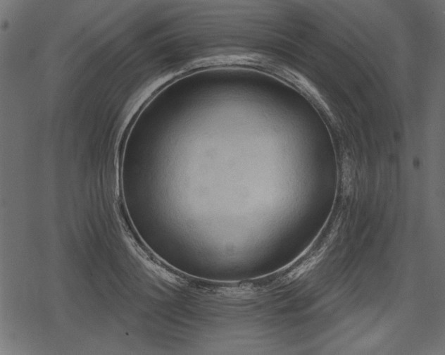 X0000078290844200611031229