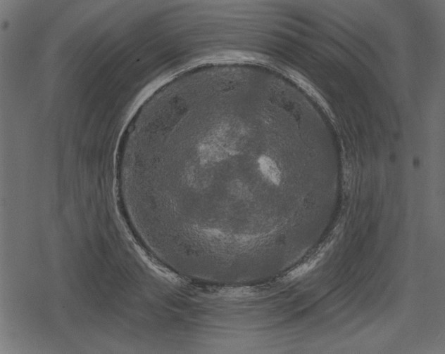 X0000078290845200611031230