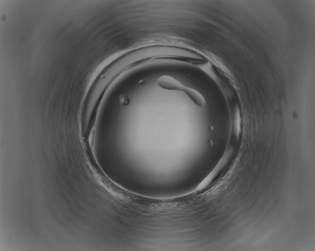 X0000078290846200611031230