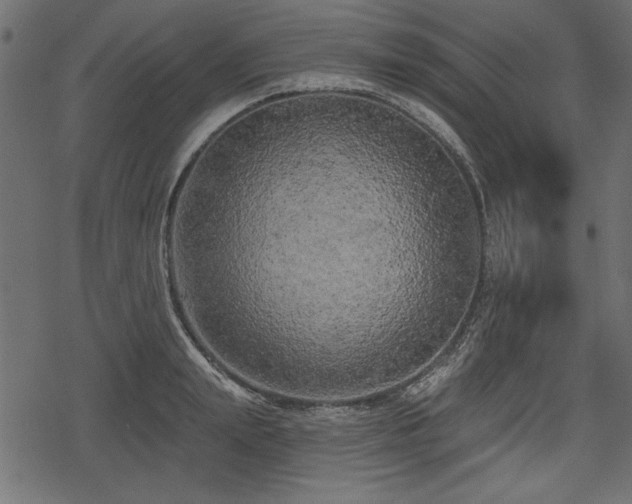 X0000078290847200611031230