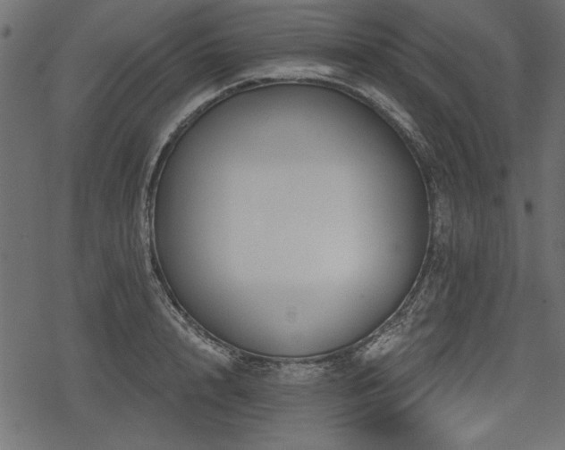 X0000078290848200611031230