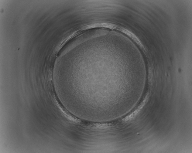 X0000078290849200611031230