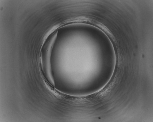 X0000078290850200611031230