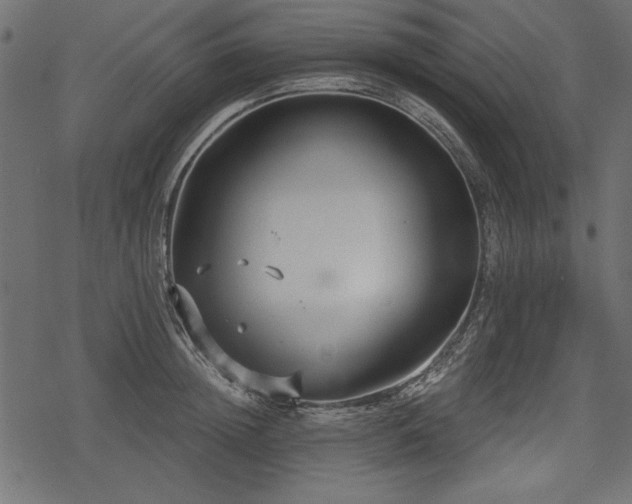 X0000078290852200611031230