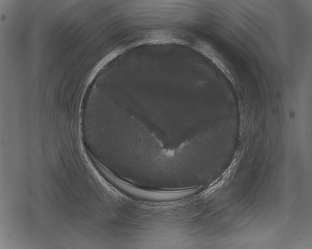 X0000078290853200611031230