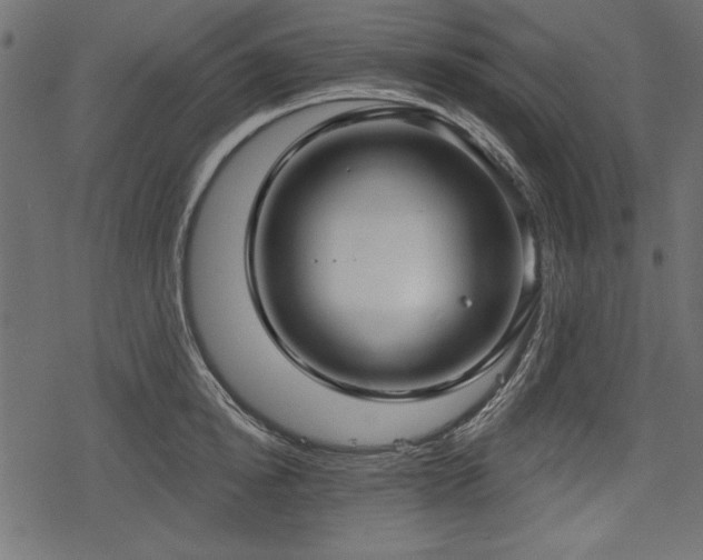 X0000078290854200611031230