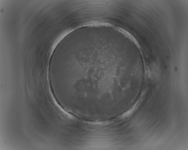 X0000078290855200611031230