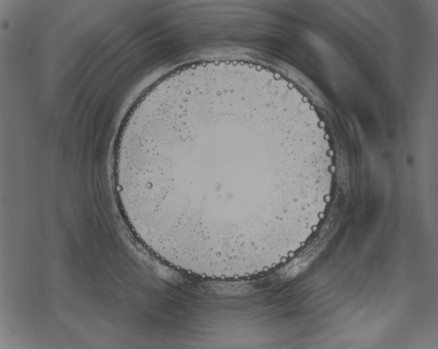 X0000078290856200611031230