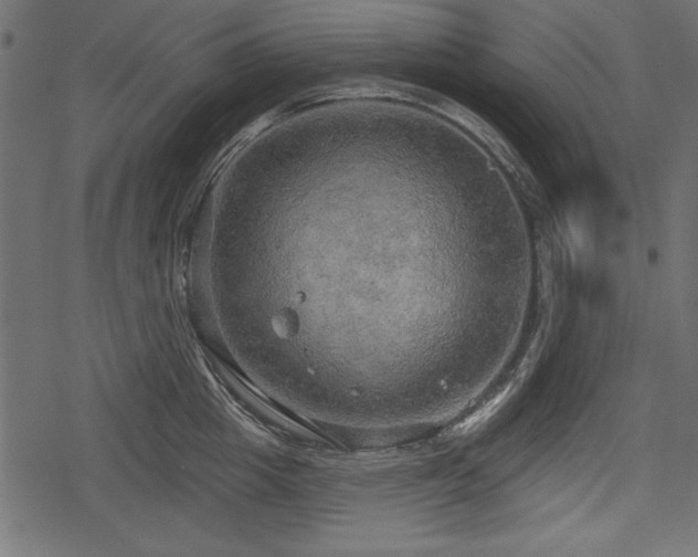 X0000078290857200611031230