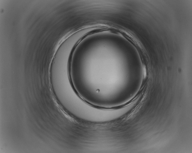 X0000078290858200611031230