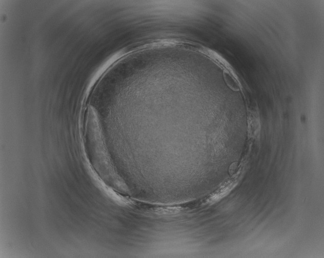 X0000078290859200611031230