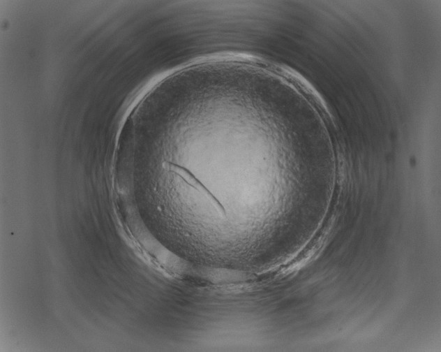 X0000078290860200611031230