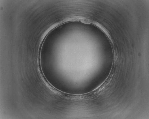 X0000078290861200611031230