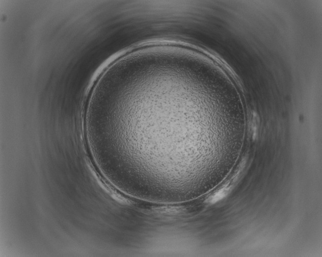 X0000078290862200611031230