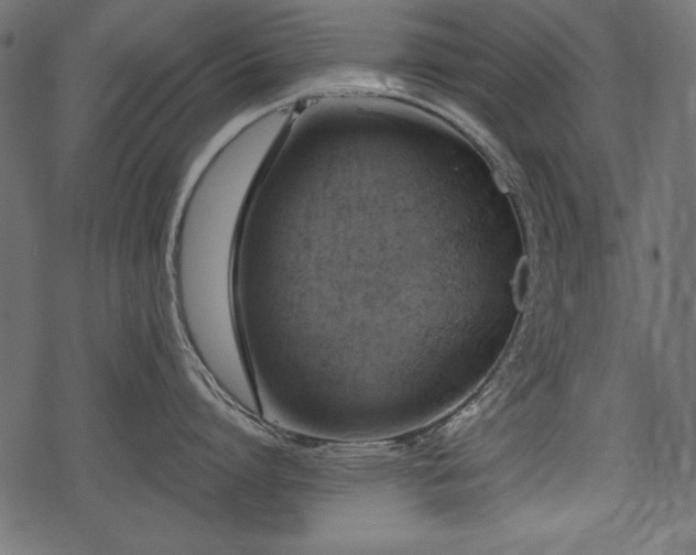 X0000078290864200611031230