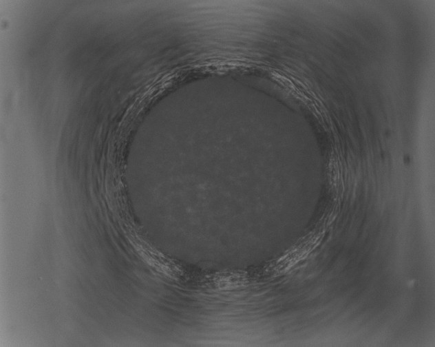 X0000078290865200611031229