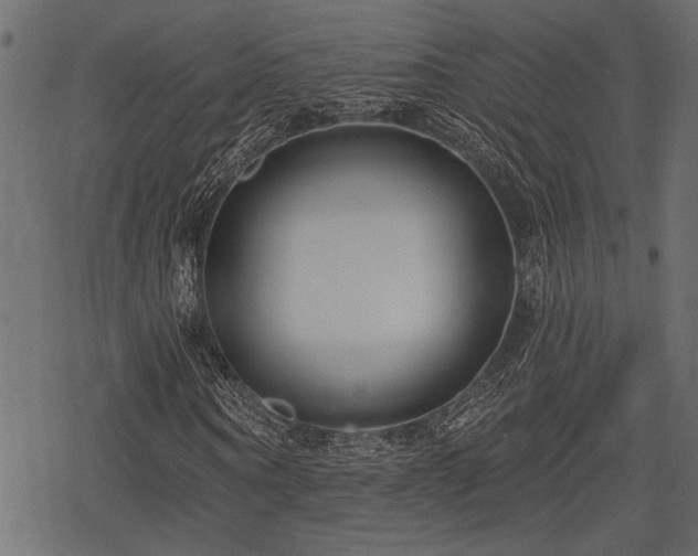 X0000078290866200611031229