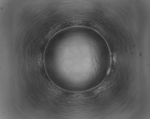 X0000078290867200611031229